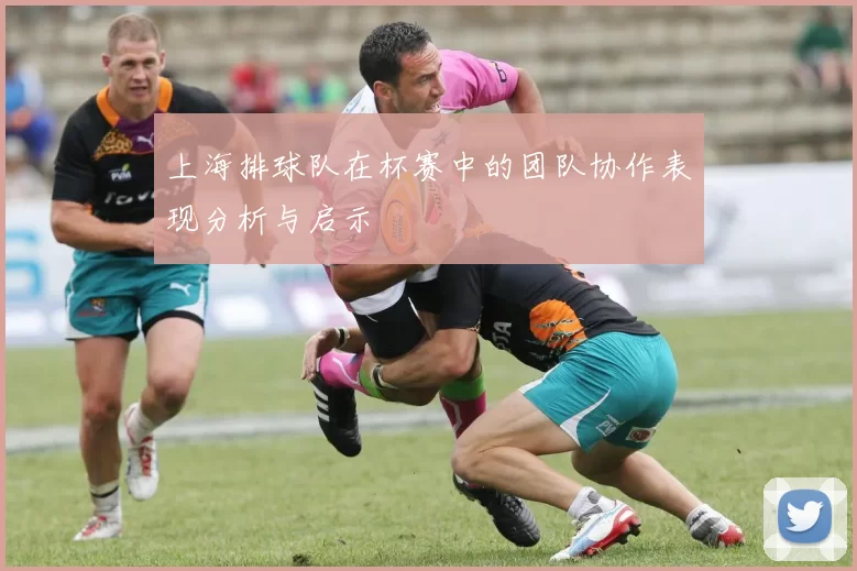 上海排球队在杯赛中的团队协作表现分析与启示