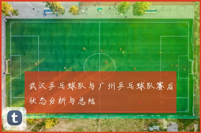 武汉乒乓球队与广州乒乓球队赛后状态分析与总结
