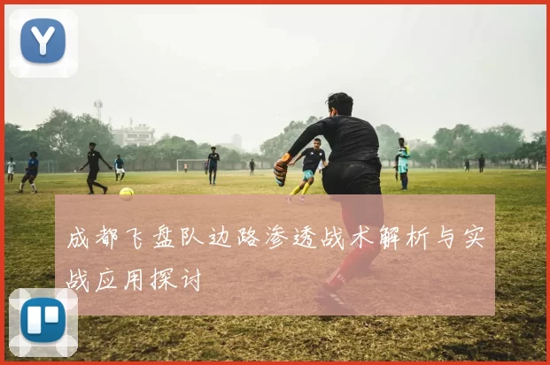 成都飞盘队边路渗透战术解析与实战应用探讨