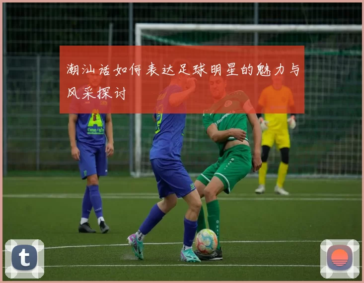 潮汕话如何表达足球明星的魅力与风采探讨