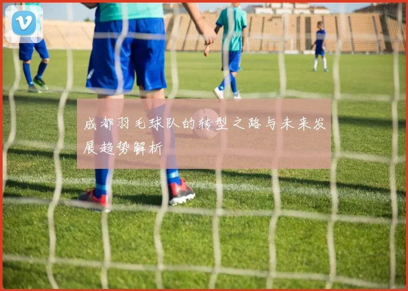 成都羽毛球队的转型之路与未来发展趋势解析