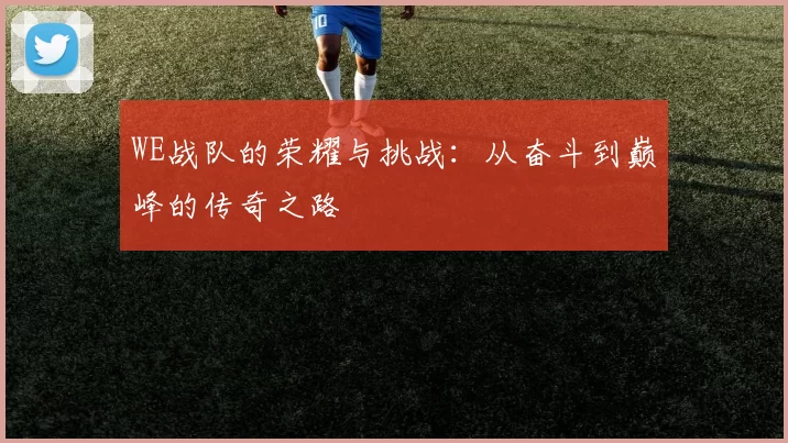 WE战队的荣耀与挑战：从奋斗到巅峰的传奇之路