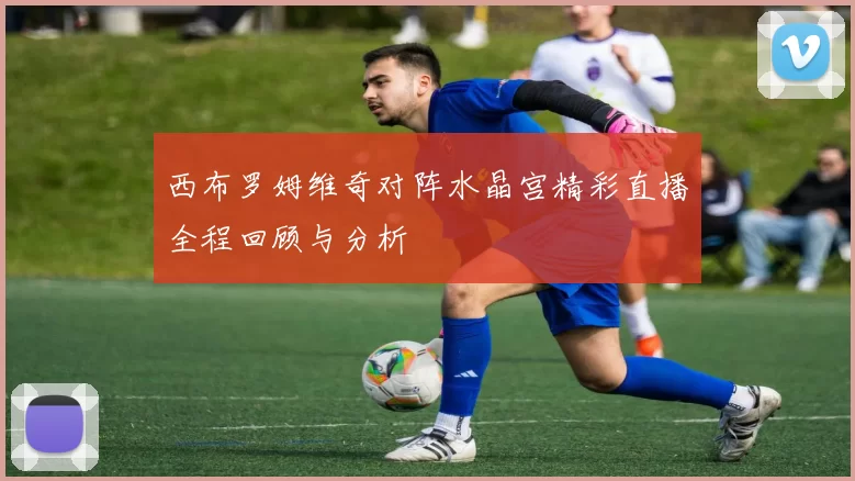 西布罗姆维奇对阵水晶宫精彩直播全程回顾与分析