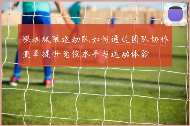 深圳极限运动队如何通过团队协作变革提升竞技水平与运动体验