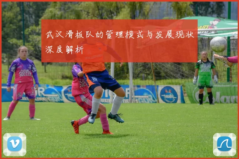 武汉滑板队的管理模式与发展现状深度解析