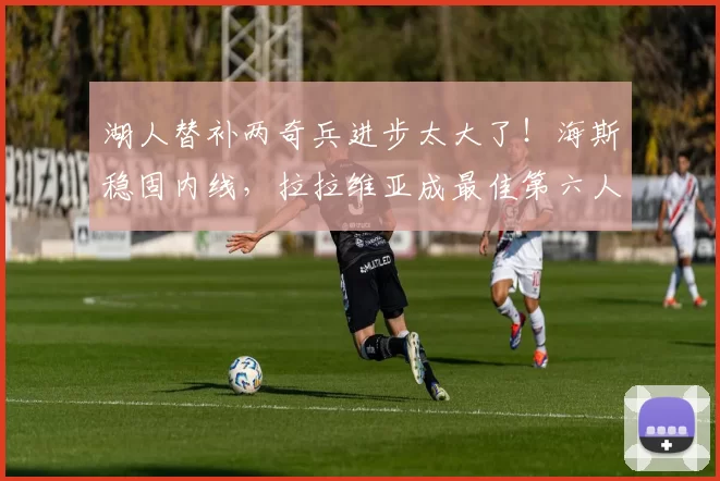 湖人替补两奇兵进步太大了！海斯稳固内线，拉拉维亚成最佳第六人
