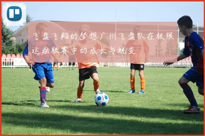 飞盘飞翔的梦想广州飞盘队在极限运动联赛中的成长与蜕变