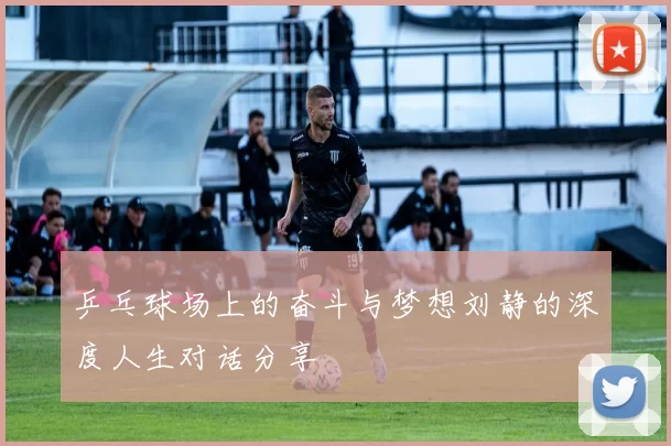 乒乓球场上的奋斗与梦想刘静的深度人生对话分享